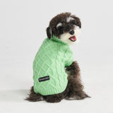 Pull en tricot pour chien - Vert menthe