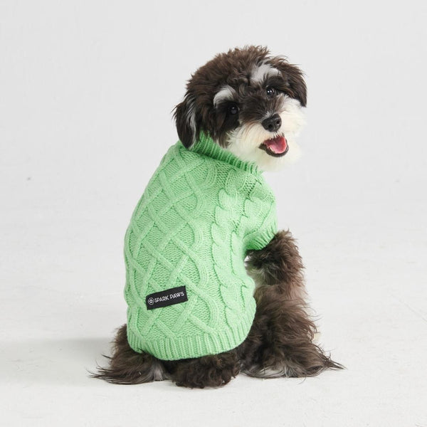 Pull en tricot pour chien