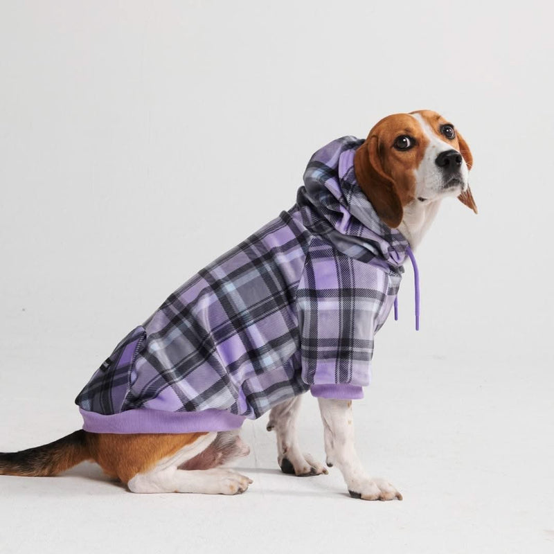 Pull à Capuche en velours Pour Chien - Carreaux Violets