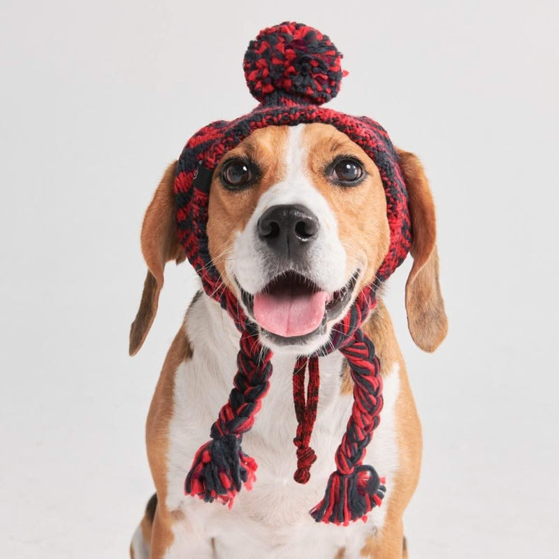 Chapeau d'hiver en tricot pour chiens