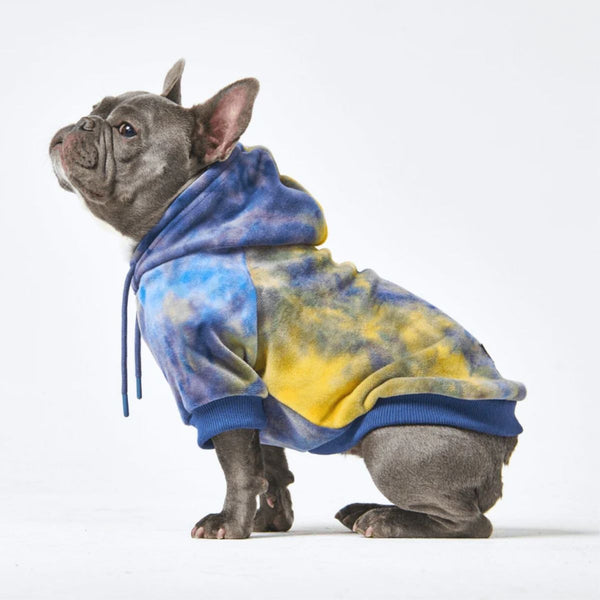 Pull à Capuche en velours Pour Chien - Nova