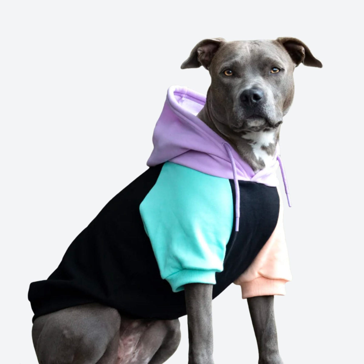 Dog sweater jacket sales