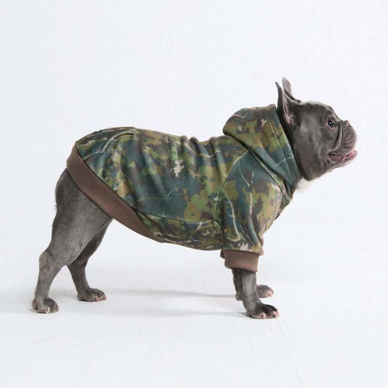 Sweats à capuche Concrete Wood pour chiens – Mousse
