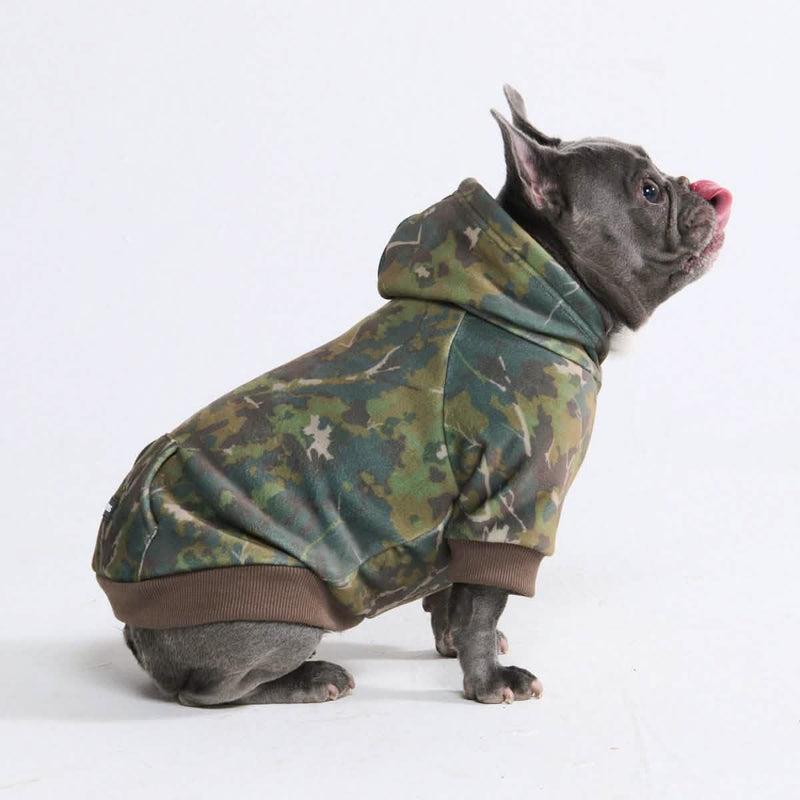 Sweats à capuche Concrete Wood pour chiens – Mousse