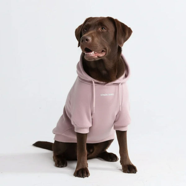Pull à Capuche Essentiel Pour Chien - Taupe Violet