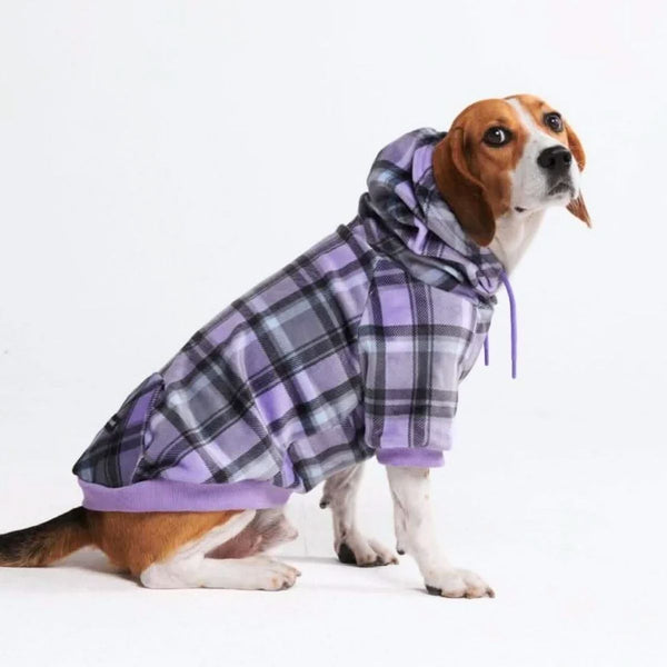 Pull à Capuche en velours Pour Chien - Carreaux Violets