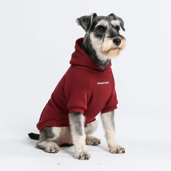 Pull à Capuche Essentiel Pour Chien - Bourgogne