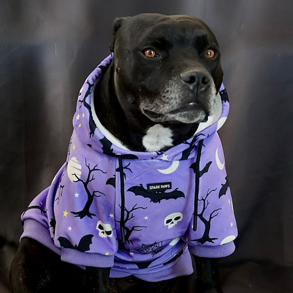 Sweat à capuche Halloween pour chien - Violet
