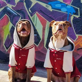 Veste universitaire pour chien - Rouge