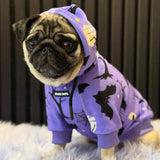 Sweat à capuche Halloween pour chien - Violet