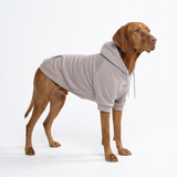 Essential Clay Hoodie||size:3XL