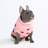 Pull en maille pour chien – Cœurs