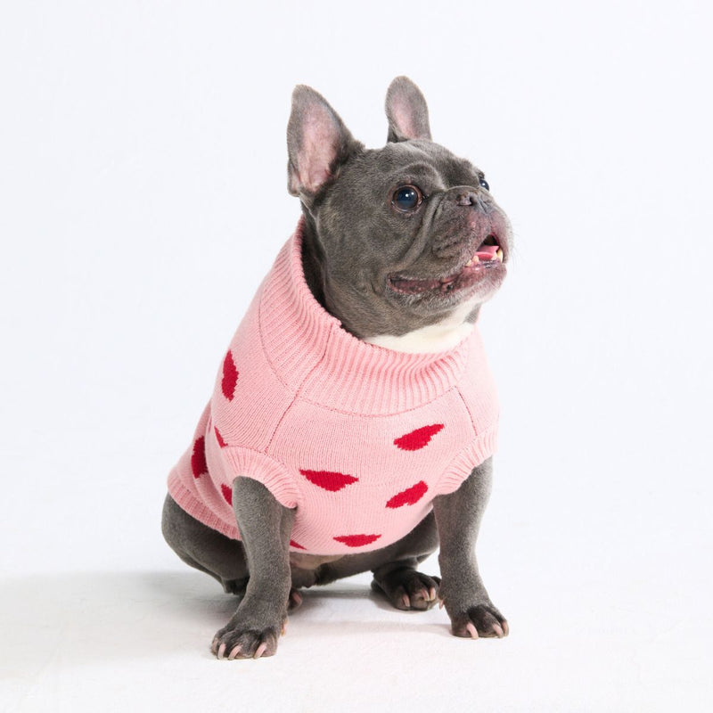 Pull en maille pour chien – Cœurs