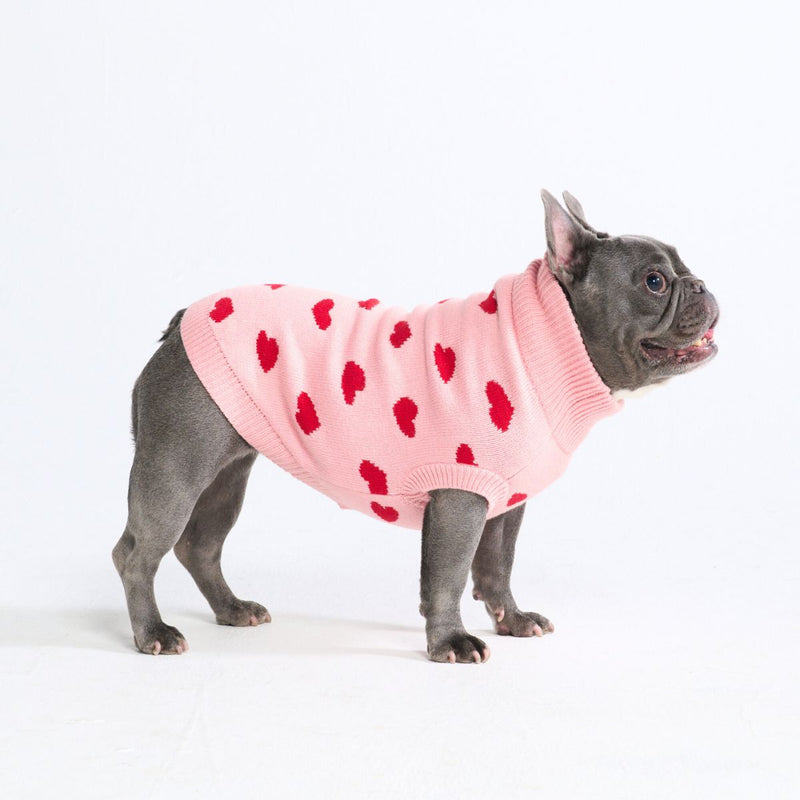 Pull en maille pour chien – Cœurs