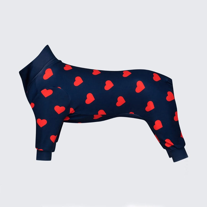 Pyjama pour chien