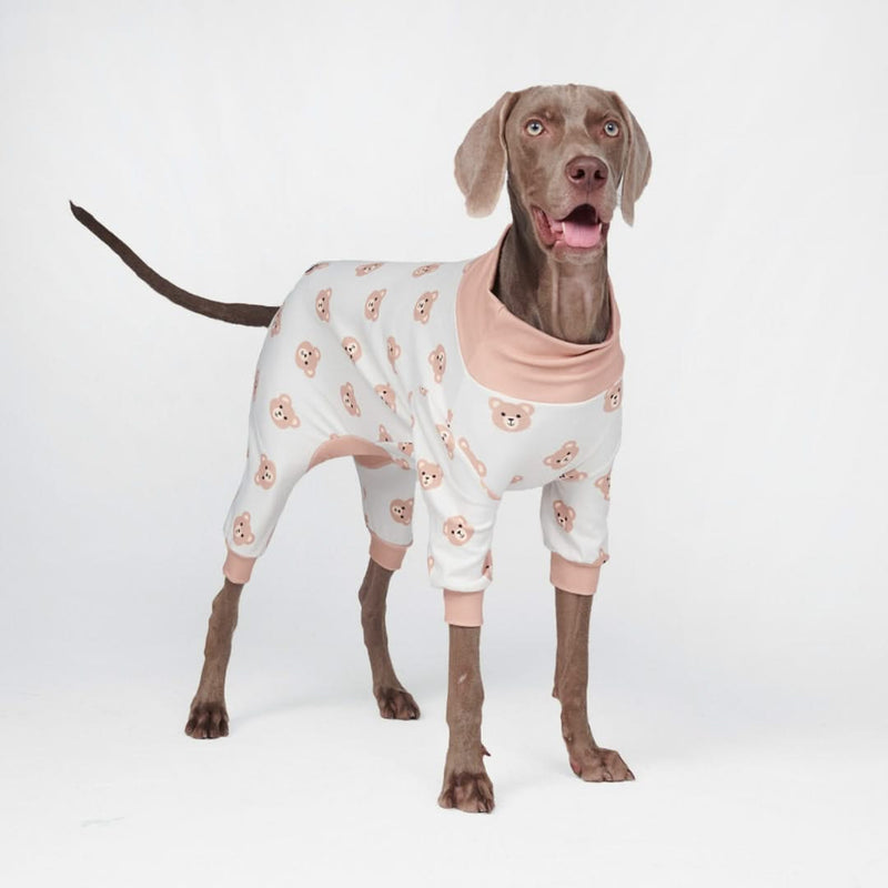 Pyjama pour chien