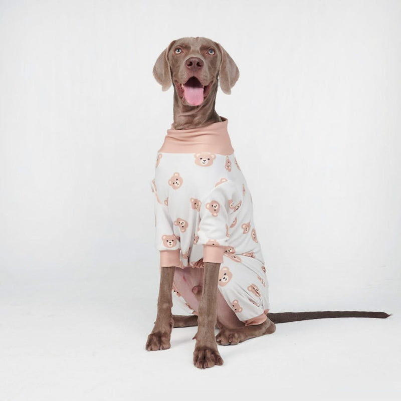 Pyjama pour Chien - Ours Beige