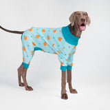 Pyjama pour chien - Oranges