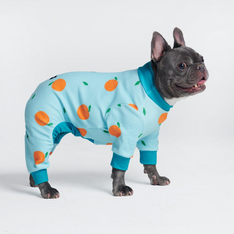 Pyjama pour chien