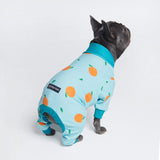 Pyjama pour chien - Oranges