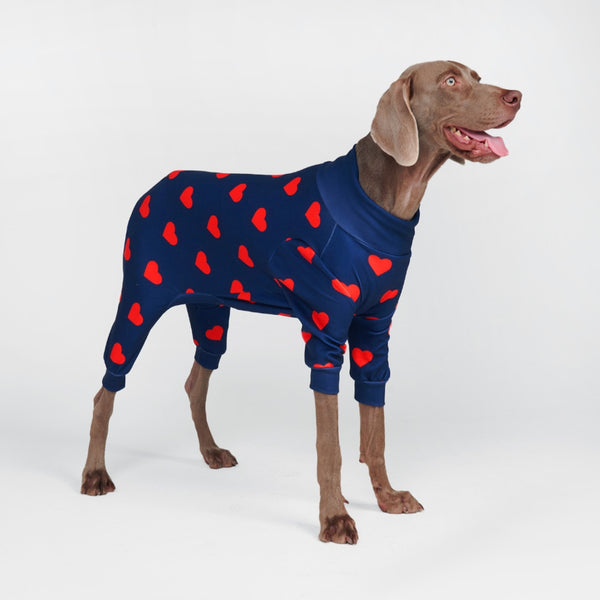 Pyjama pour chien - Coeurs