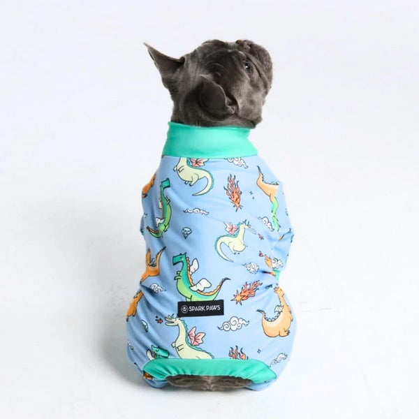 Pyjama pour chien - Dragons