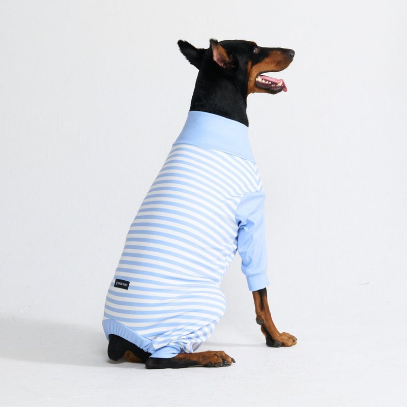Pyjama pour chien - Rayures Bleues