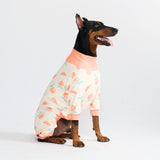 Pyjama pour chien - Pêches