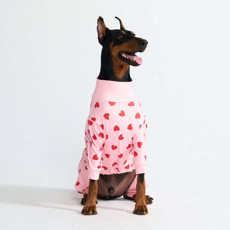 Pyjama pour chien - Cœurs Roses