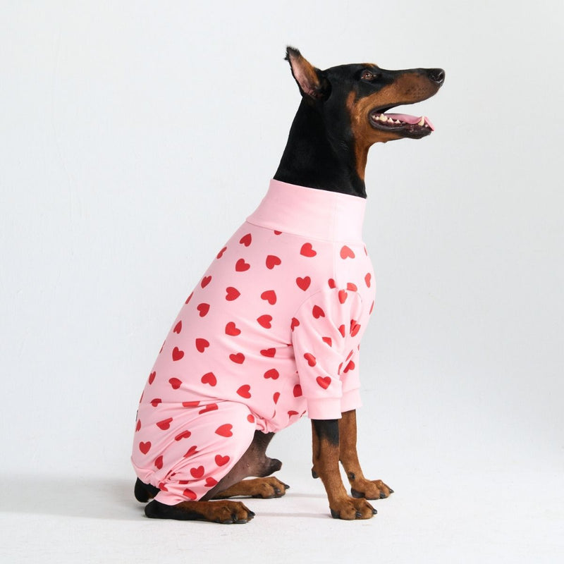 Pyjama pour chien - Cœurs Roses