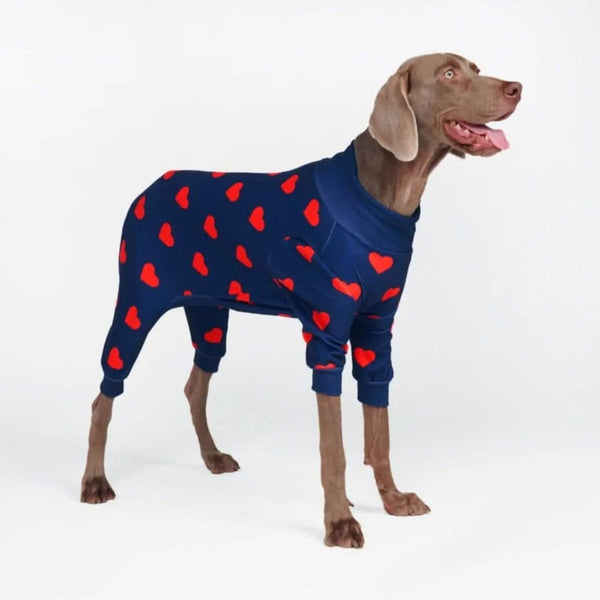 Pyjama pour chien - Coeurs