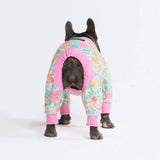 Pyjama pour Chien - Prés