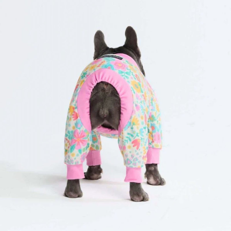 Pyjama pour Chien - Prés