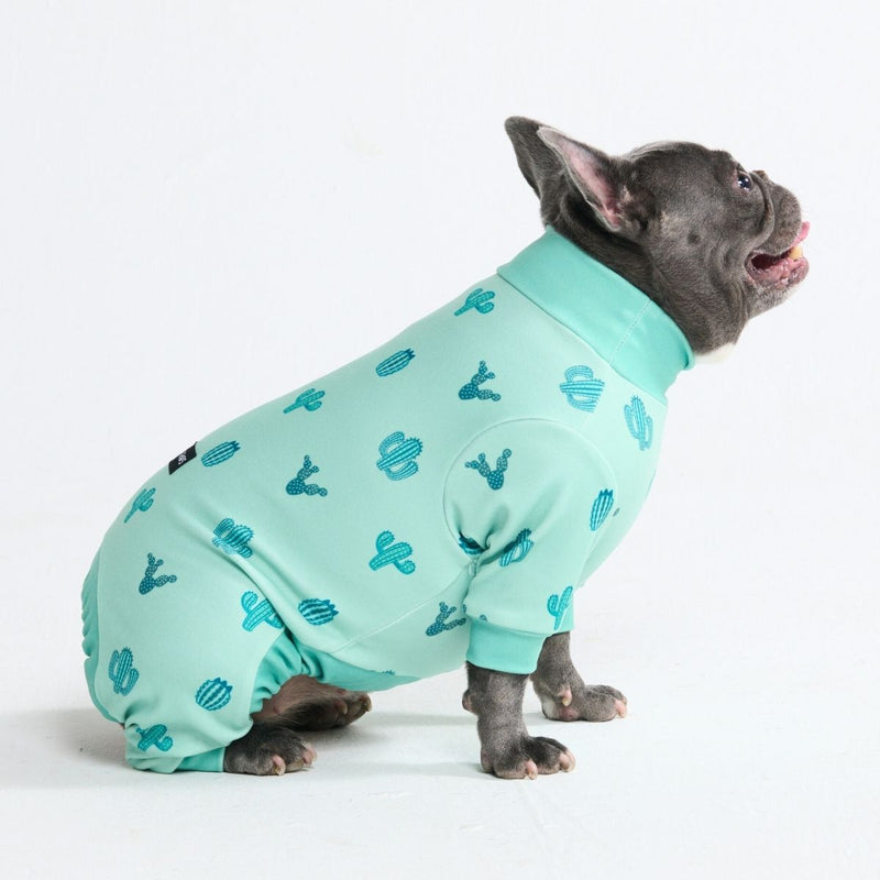 Pyjama pour chien - Cactus