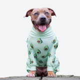 Pyjama pour chien - Avocat
