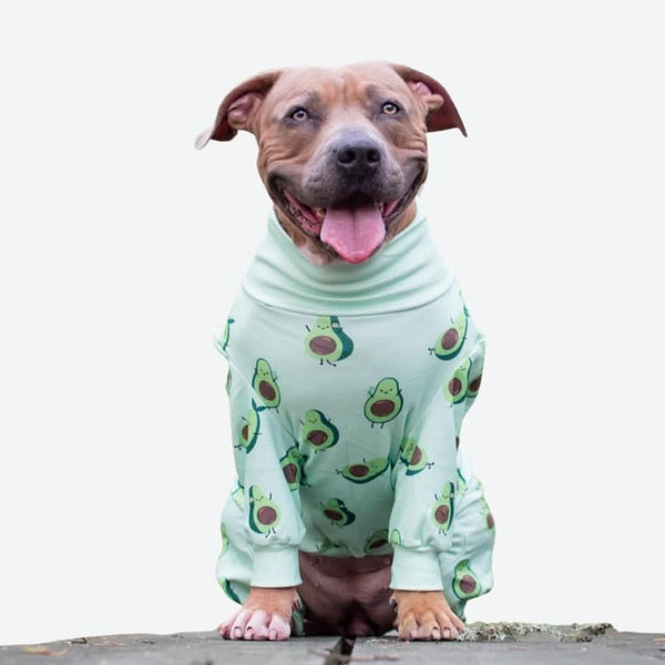 Pyjama pour chien - Avocat