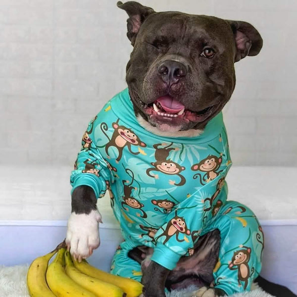 Pyjama pour chien - Monkey Business