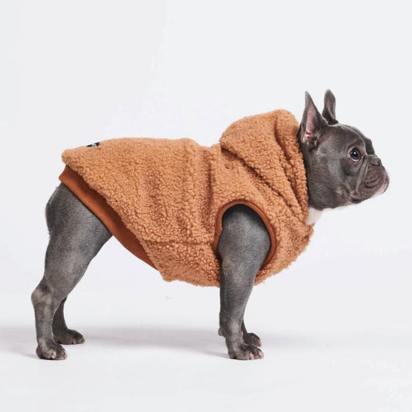 Veste Sherpa Teddy - Marron
