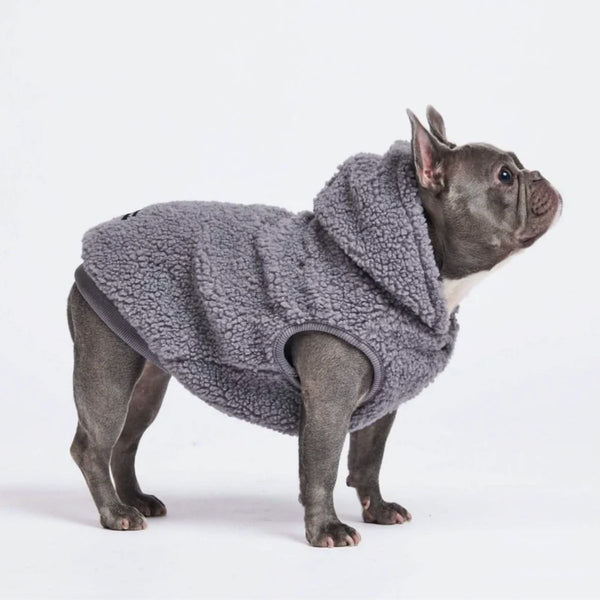 Veste Sherpa Teddy -  Plusieurs