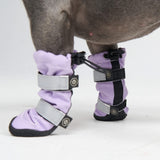 Flex Shell Bottes pour Chiens Résistantes à l'Eau - Lilas