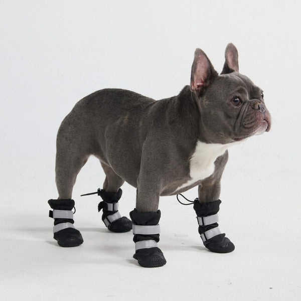 Flex Shell Bottes pour Chiens Résistantes à l'Eau - Noir