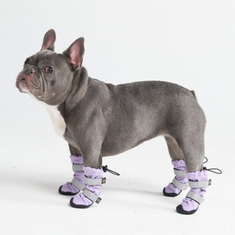 Flex Shell Bottes pour Chiens Résistantes à l'Eau - Lilas