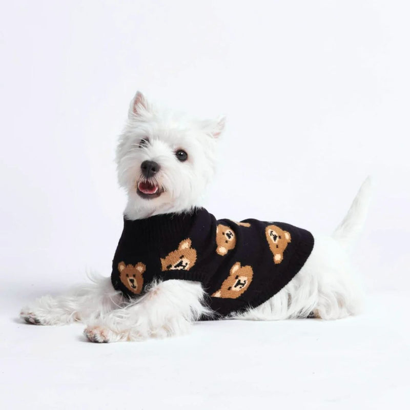 Pull pour chien en tricot - Ours en peluche cassé