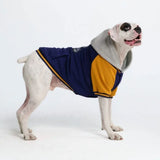 Veste universitaire pour chien - Bleu jaune