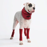 Jambières en polaire pour chien - Rouge