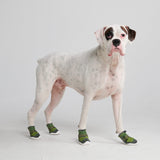 Chaussures pour chien sur pavé chaud - Vert