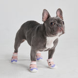 Chaussures pour chien sur pavé chaud - Rose Violet