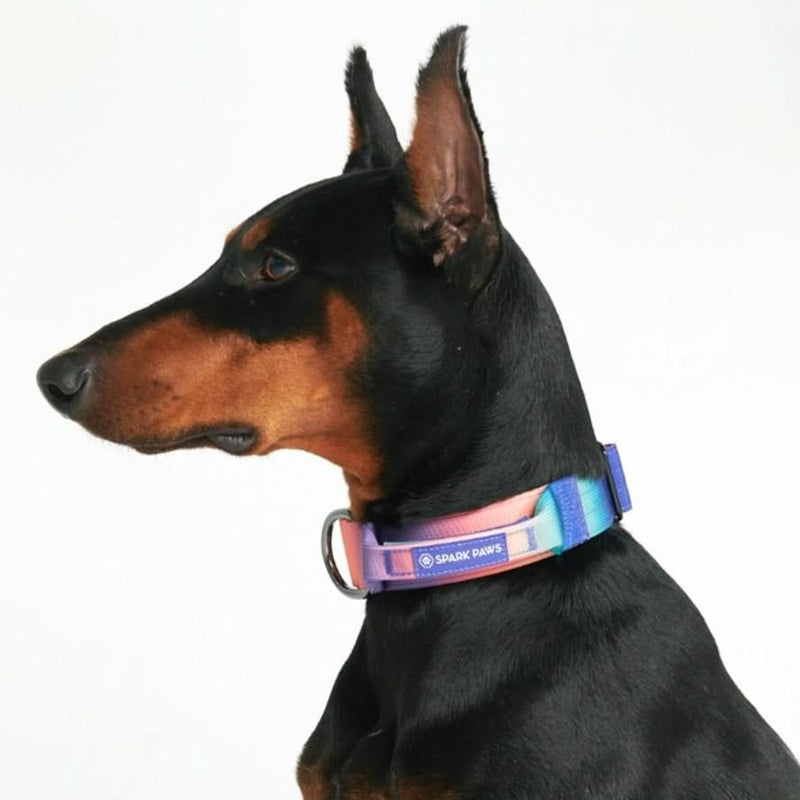 Collier tactique pour chien - Kaléidoscope