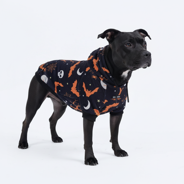 Sweat à capuche Halloween pour chien - Noir