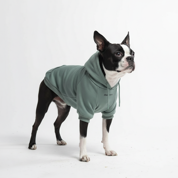Pull à Capuche Essentiel Pour Chien - Sarcelle